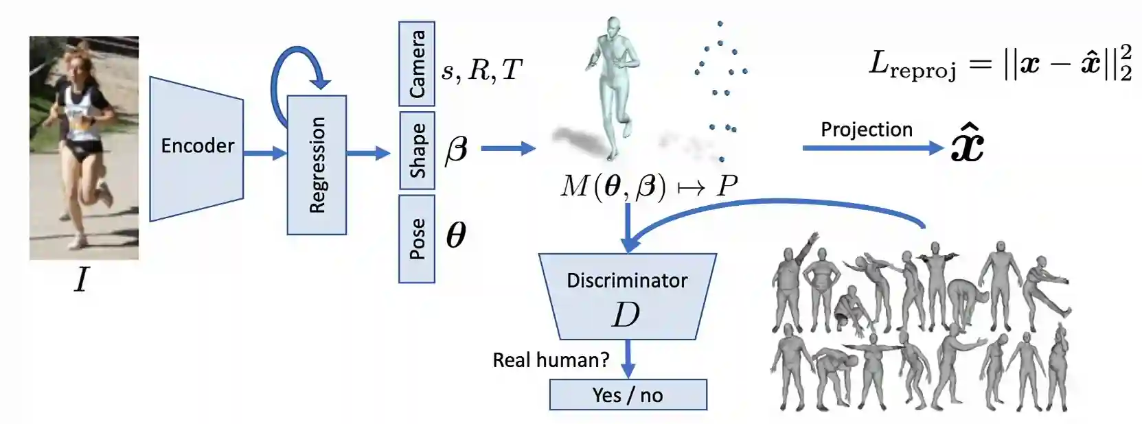 Parametric Human Body Models-20250519134459923